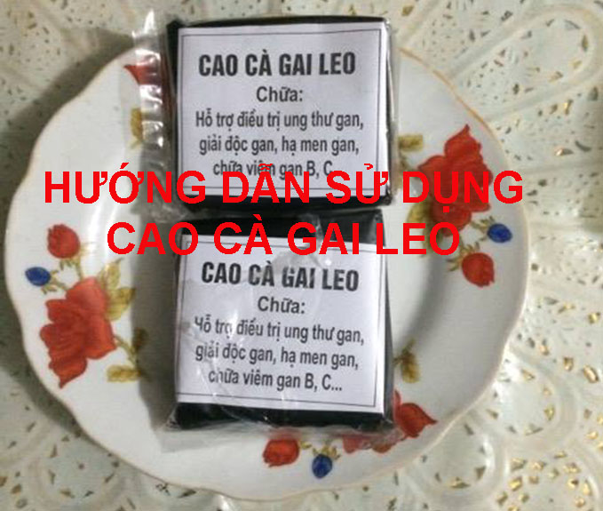 Hướng dẫn cách dùng cao cà gai leo