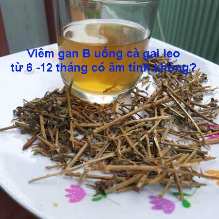 Viêm gan B uống cà gai leo có âm tính không?