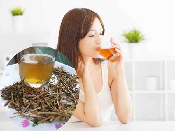 uống cà gai leo giảm cân không?