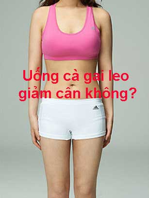 uống cà gai leo giảm cân không? uống cà gai leo giảm cân không?