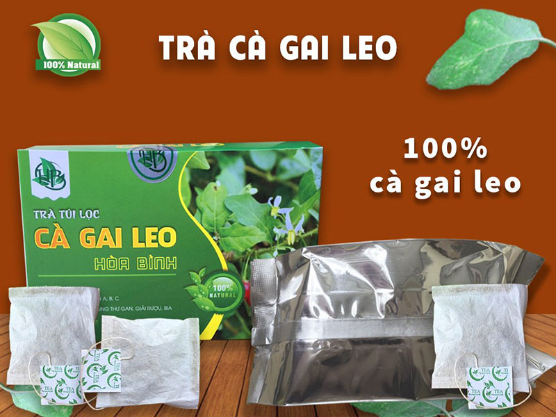 Trà túi lọc cà gai leo Hòa Bình Trà túi lọc cà gai leo Hòa Bình