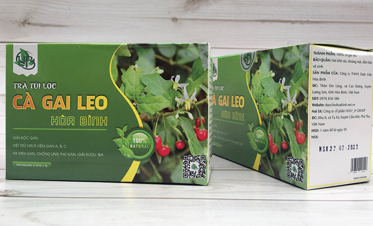 Trà túi lọc cà gai leo Hòa Bình Trà túi lọc cà gai leo Hòa Bình
