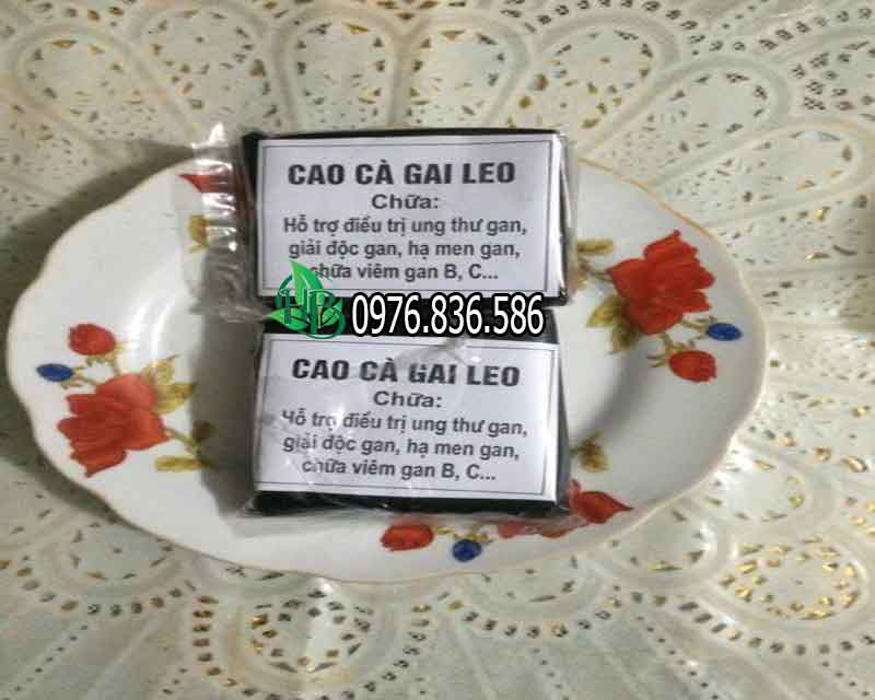  Cao cà gai leo giá bao nhiêu?