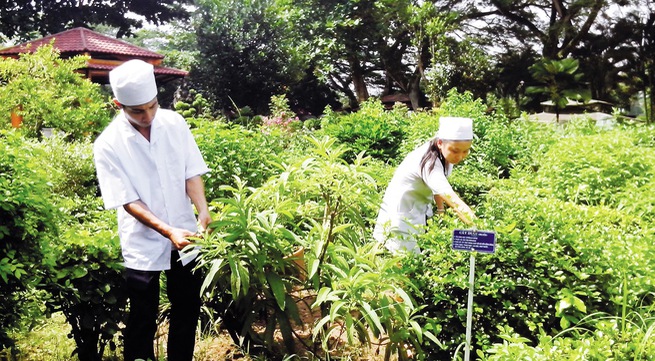 Dược liệu tại Hải Dương Dược liệu tại Hải Dương