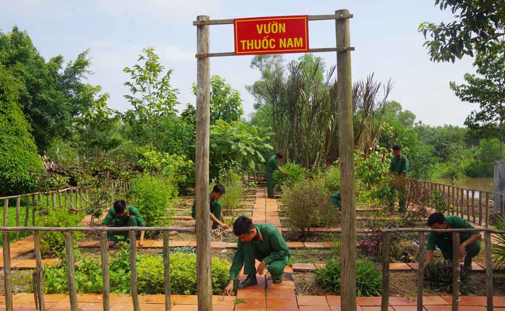 Dược liệu tại Kiên Giang Dược liệu tại Kiên Giang