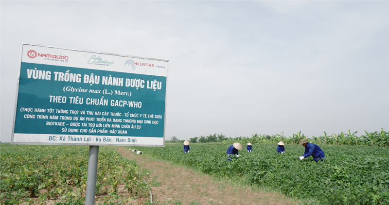 Dược liệu của Nam Định Dược liệu của Nam Định