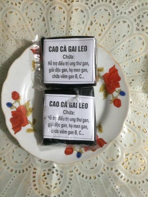 Cơ sở mua bán cà gai leo tại Phú Thọ