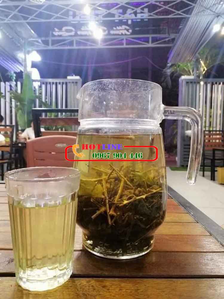 Uống cà gai leo có giải độc rượu bia không?
