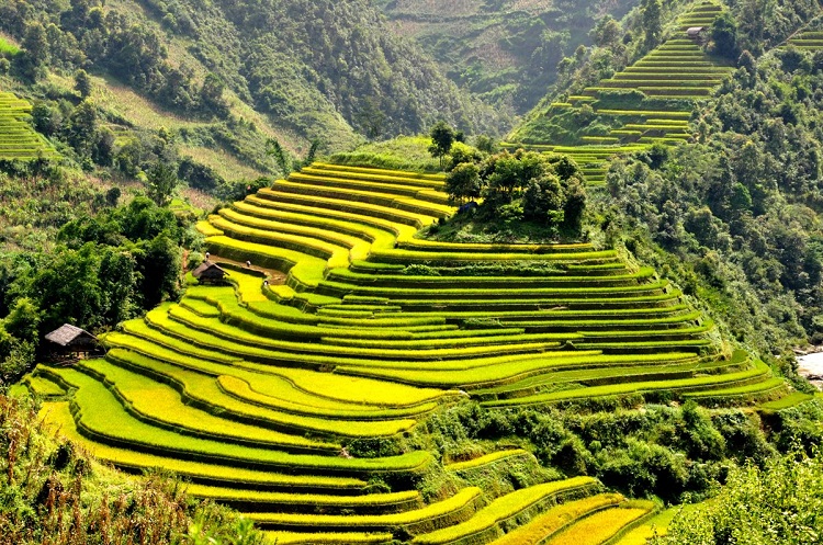 Yên Bái Việt Nam Yên Bái Việt Nam